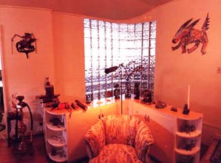 Manoa Valley from Neal Izumi's rooftop on Rainbow Drive